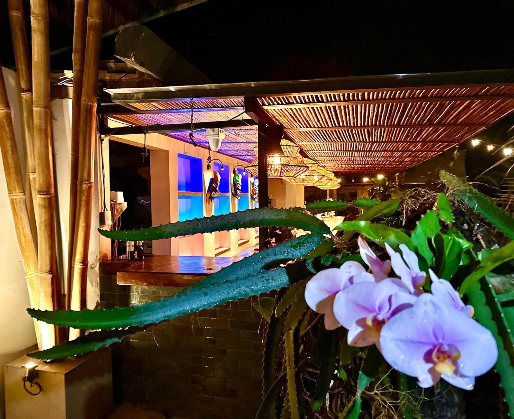 Curiol Boutique Hotel & Lounge Potrero  Exterior foto